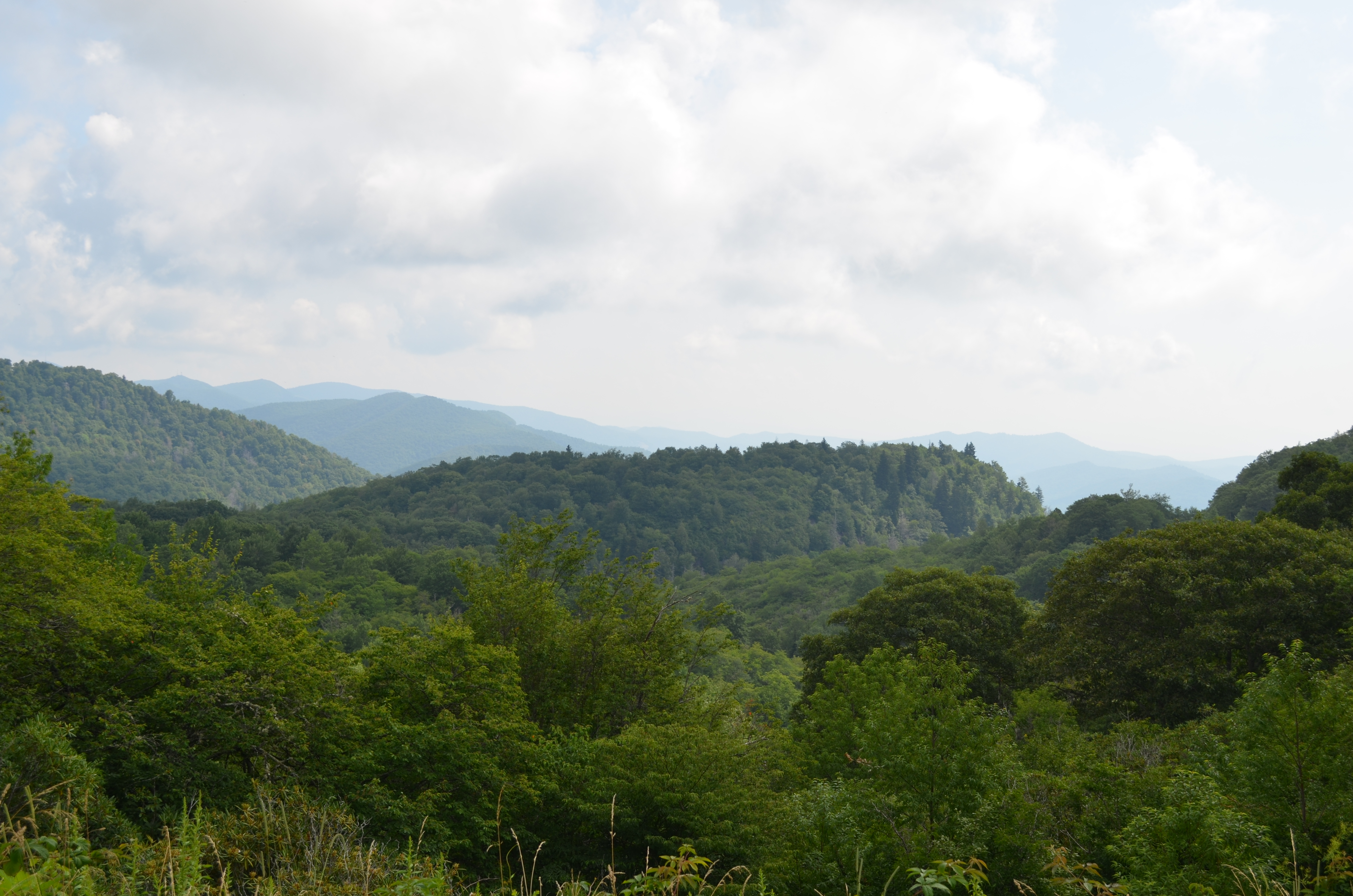 ./2016/14 - Asheville/02 - Second Falls/DSC_0726.JPG